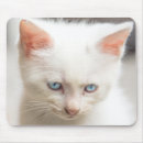 Recherche de chatons blancs tapis souris Animaux mignons