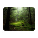 Recherche de auvergne magnets France