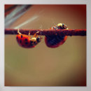 Recherche de coccinelle mignonne posters Pour elle