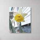 Recherche de jonquilles art Pour eux