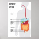 Recherche de biologique humaine posters La science