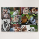 Recherche de collage puzzles Modèle photo