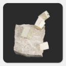 Recherche de sciences naturelles autocollants Découper