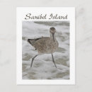 Recherche de piper cartes postales Oiseau
