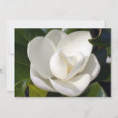 Recherche de magnolia du sud Nuptiale