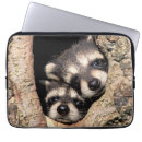 Recherche de raton laveur ordinateurs portables protections Animaux