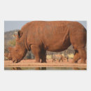 Recherche de rhinocéros loisirs créatifs animal