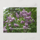 Recherche de lilas cartes postales Pour eux
