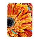 Recherche de éclat magnets Floral
