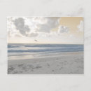 Recherche de serein photographie Paysage