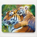 Recherche de tigre tapis souris Maman