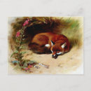 Recherche de cross cartes postales Animal