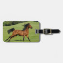 Recherche de courrier bagages étiquettes Chevaux