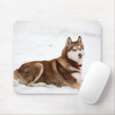 Recherche de malamute tapis souris Neige