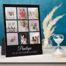 Recherche de pet loss In loving memory