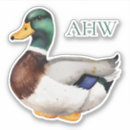 Recherche de canards blancs autocollants Sauvagine