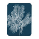 Recherche de tulipe magnets Fleurs