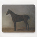 Recherche de chevaux dressage tapis souris Équestre