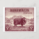Recherche de éleveur cartes postales Mouton
