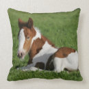 Recherche de poulain coussins Se coucher