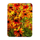 Recherche de cône magnets Fleurs