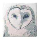 Recherche de hiboux carreaux Oiseau