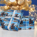 Recherche de chiens de chasse papier cadeau Chien drôle