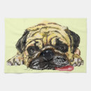 Recherche de le carlin cuisine linges Chien de carlin