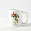 Recherche de cardinalis de cardinalis Illustration