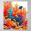 Recherche de biodiversité posters Corail