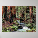 Recherche de profondeurs posters Paysage