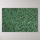 Recherche de motif botanique posters Plante
