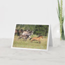 Recherche de fonctionnement vœux cartes Équin