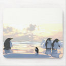 Recherche de manchot tapis souris Hiver