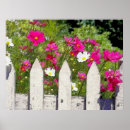 Recherche de cosmos posters Peinture