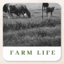 Recherche de agriculture dessous de verres Vaches
