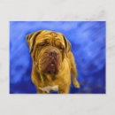Recherche de dogue de bordeaux cartes postales Mastiff