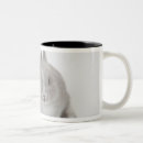 Recherche de deux lapins tasses Animal