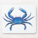 Recherche de crabe tapis souris Fruits de mer