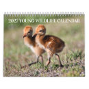 Recherche de dauphins calendriers Faune