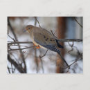 Recherche de jour de neige cartes postales Animaux
