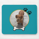 Recherche de cabot tapis souris Chien