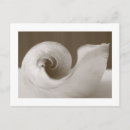 Recherche de voyage afrique cartes postales Moderne