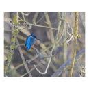 Recherche de pêcheur à posters Nature