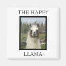 Recherche de lamas magnete Toute personne