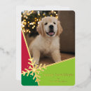 Recherche de compagnon vœux cartes Chien