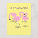 Recherche de flamand rose cartes postales Flamant