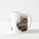Recherche de simple chat tasses Toute personne