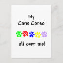Recherche de cane corso cartes postales Animal