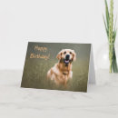 Recherche de golden retriever anniversaire cartes Animal